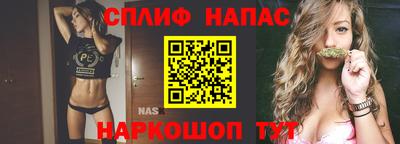 не бодяженный Гай