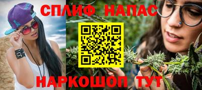 a pvp Гагарин