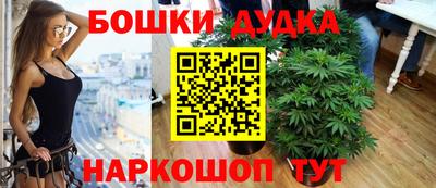 a pvp Гагарин