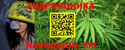 не бодяженный Гай