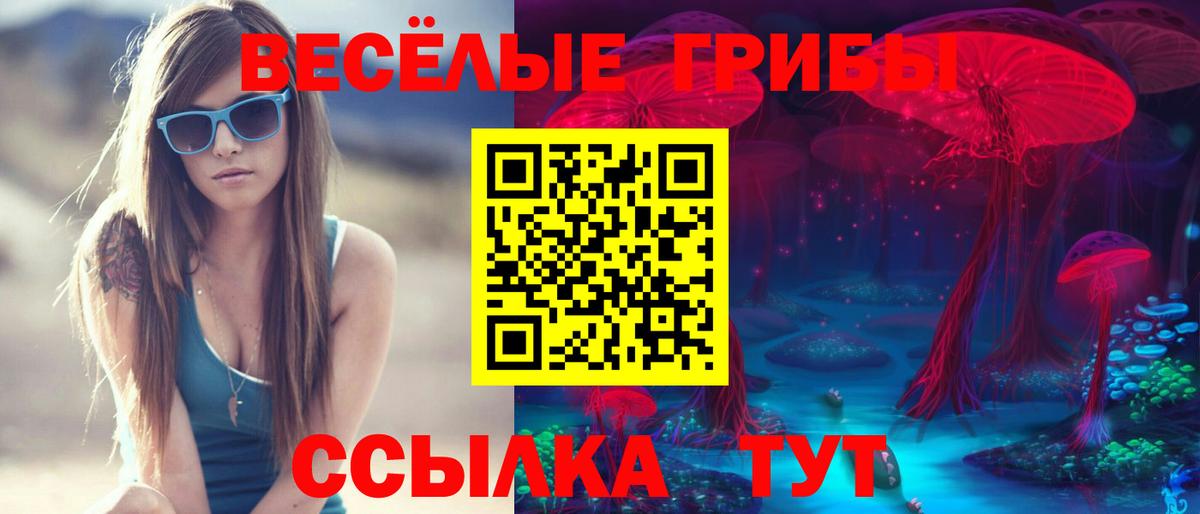 Галлюциногенные грибы Magic Shrooms Грозный