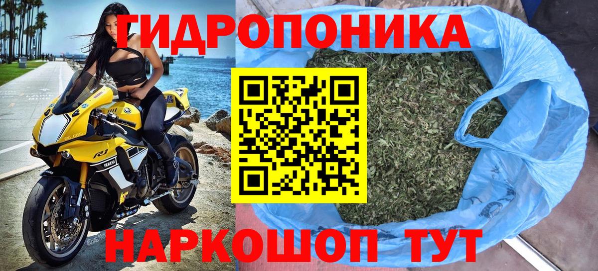 Грозный  Конопля White Widow  Вход с VPN  Шишки марихуана LSD WEED  Конопля VHQ 